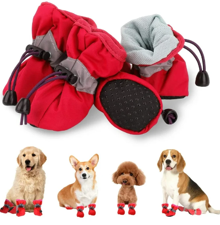 Hatmeo's Pet Footwear: The Perfect Blend Of Comfort, Protection, And Style