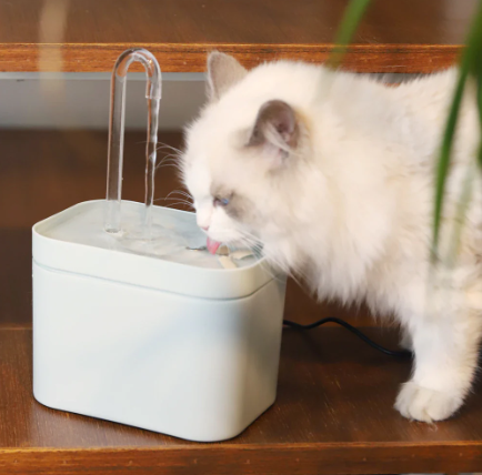 Veterinarian Recommended: Hatmeo's Cat Water Fountain For Better Hydration