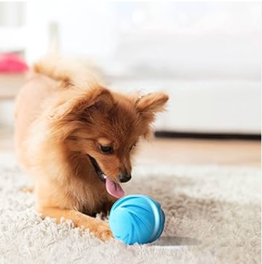 Transform Your Pet's Life With The Hatmeo Pet Ball