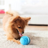 Transform Your Pet's Life With The Hatmeo Pet Ball