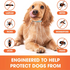 Keeping Bugs At Bay With Hatmeo Pet Collar's Innovative Solution
